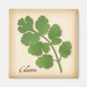 Cilantro Herb Magnet