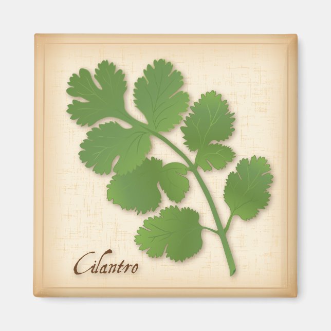 Cilantro Herb Magnet (Vorne)