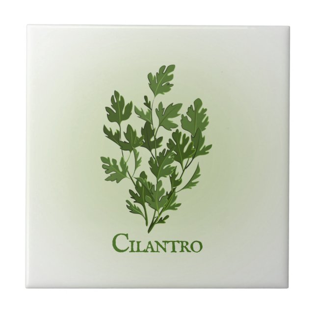 Cilantro Herbal Design Keramik Tile Fliese (Vorderseite)