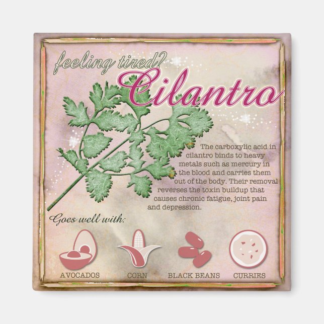 Cilantro Magnet (Vorne)