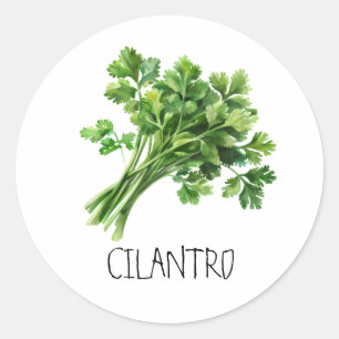 Cilantro Runder Aufkleber