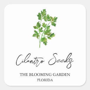 Cilantro Seeds-Label Quadratischer Aufkleber