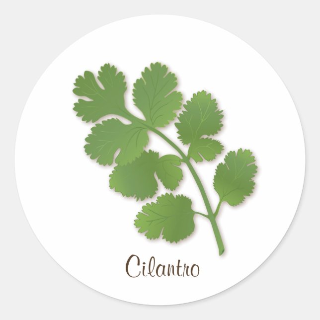 Cilantro Sticker (Vorderseite)