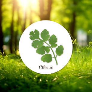 Cilantro Sticker