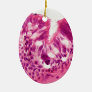 Ciliated Epithel unter dem Mikroskop Keramikornament