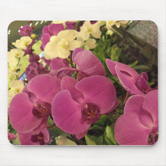 CIMG0482 MOUSEPAD (Vorne)