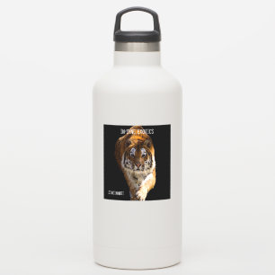 Cincinnati Tiger - Aufkleber