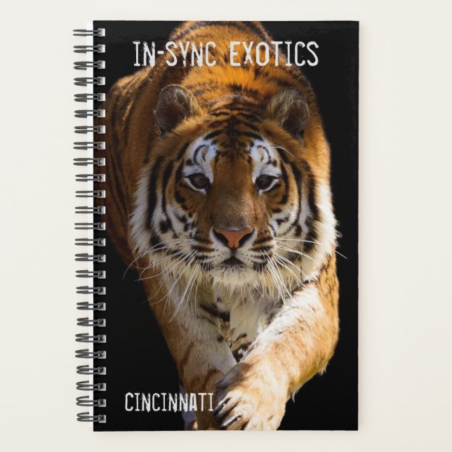 Cincinnati Tiger - Planer (Vorderseite)