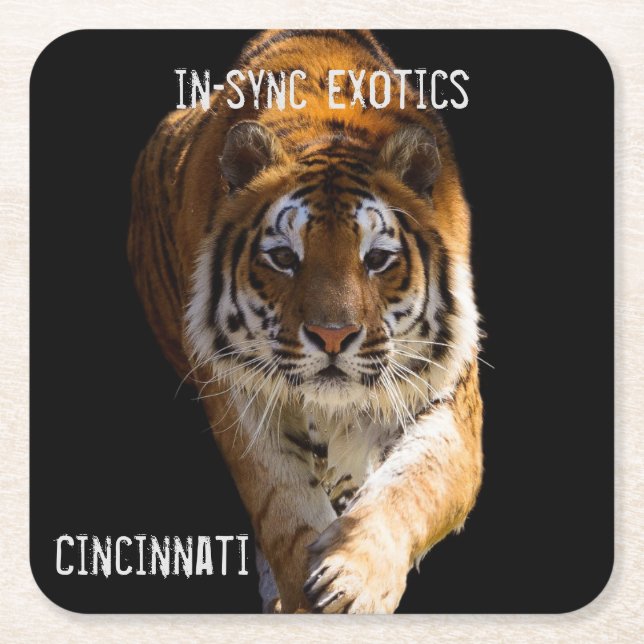 Cincinnati Tiger - Rechteckiger Pappuntersetzer (Vorderseite)