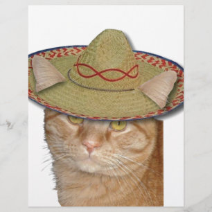 Cinco de Gato