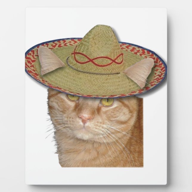 Cinco de Gato Fotoplatte (Vorderseite)