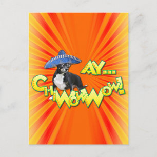 Cinco de Mayo - Ay ChWowWow! -Chihuahua Postkarte