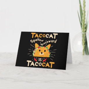 Cinco de Mayo Cat Taco: Tacat spurte rückwärts Karte