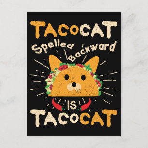 Cinco de Mayo Cat Taco: Tacat spurte rückwärts Postkarte