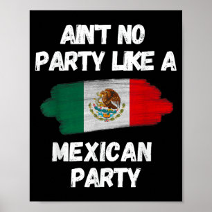 Cinco De Mayo Fiesta Mexicanischer Geburtstagsfeie Poster