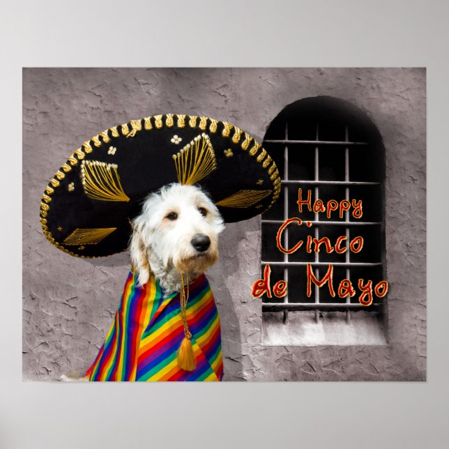 Cinco de Mayo Poster - Hund in Sombrero - Spaß (Vorne)
