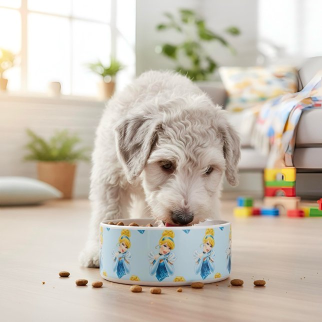 Cinderella Bowl Napf (Von Creator hochgeladen)