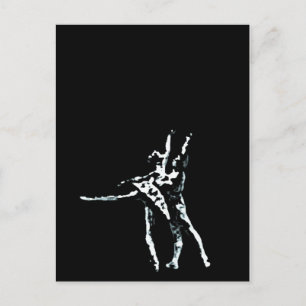 Cinderella Postkarte