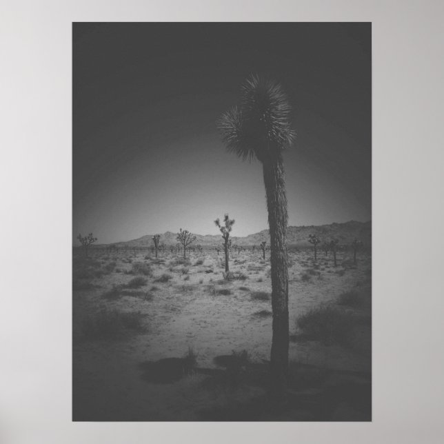Cinematic Black and White Field of Joshua Trees Poster (Vorne)