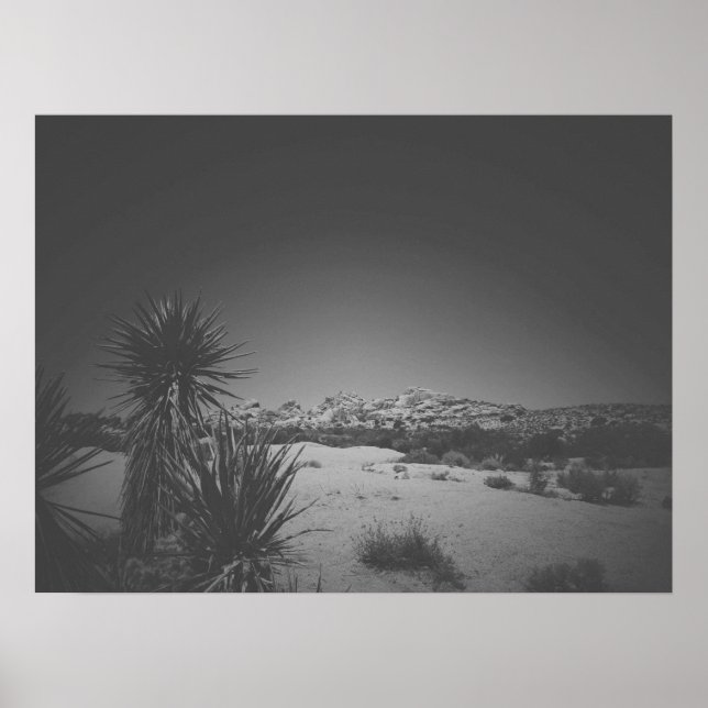 Cinematic Noir Black and White Joshua Tree Poster (Vorne)
