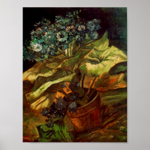 Cineraria in einem Blumentopf, Van Gogh Fine Art Poster