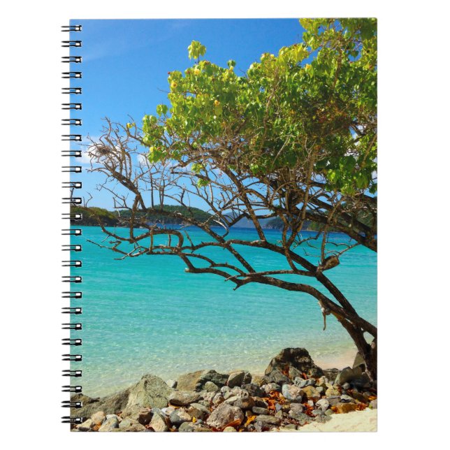 Cinnamon Bay St. John USVI Notebook Notizblock (Vorderseite)