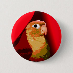 Cinnamon Green Cheek Confiserie Parakeet Pet Bird Button