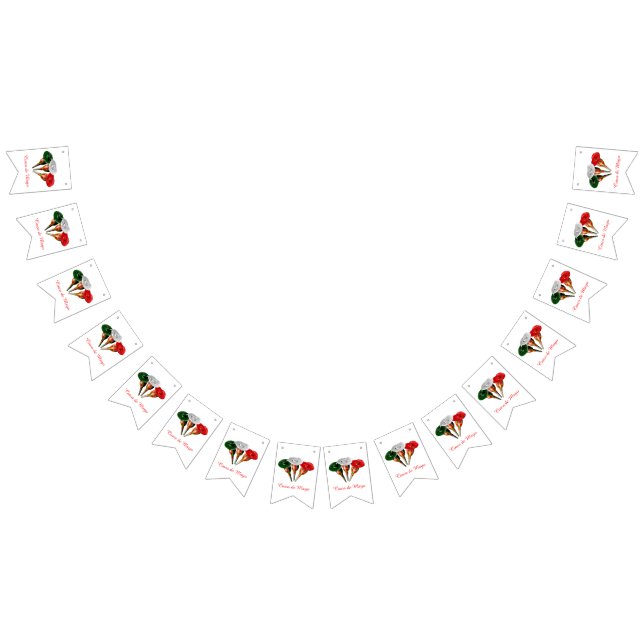 Cinqo de Mayo Wimpelkette (Alle)