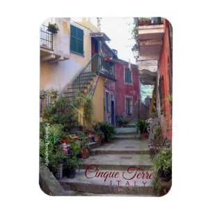 Cinque Terre (Monterosso Street) Magnet
