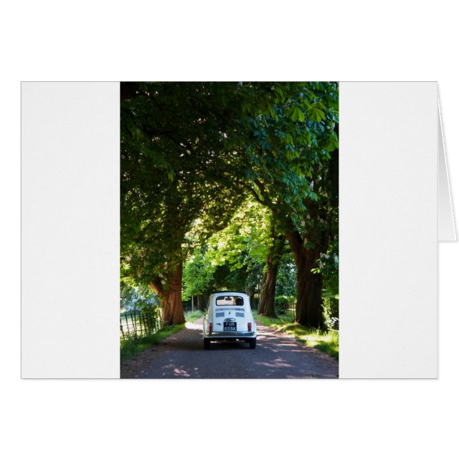 Cinquecento Fiat 500 (Vorderseite (Horizontal))