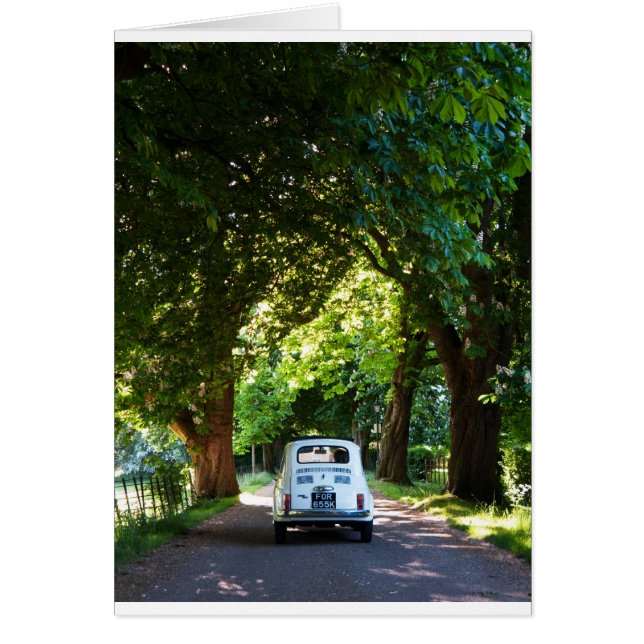 Cinquecento Fiat 500 (Vorne)