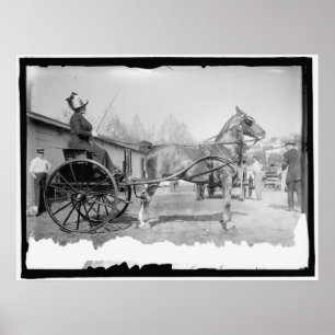Circa 1911 Pferdefotografie Poster