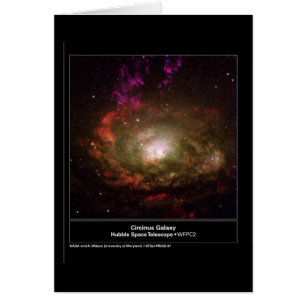 Circinus Galaxy Hubble Telescope