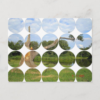 Circle Foto Postkarte