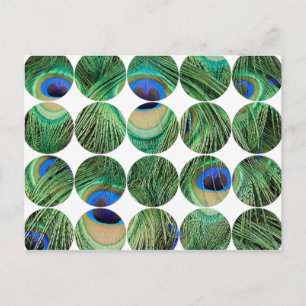 Circle Foto Postkarte