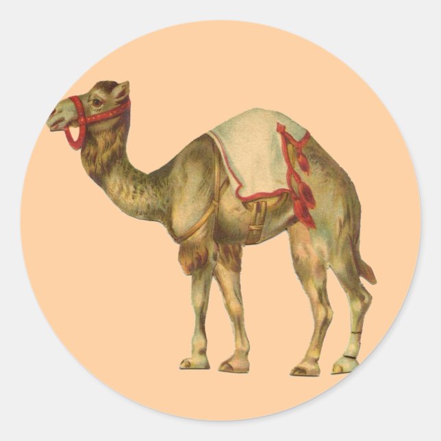 Circus Camel Sticker (Vorderseite)