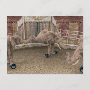 Circus Elephants Feiertagspostkarte