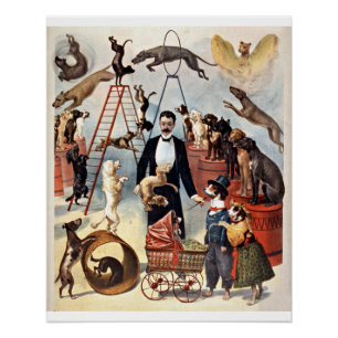 Circus Hunde, Vintage Abbildung, Poster