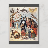 Circus Hunde, Vintage Abbildung,
