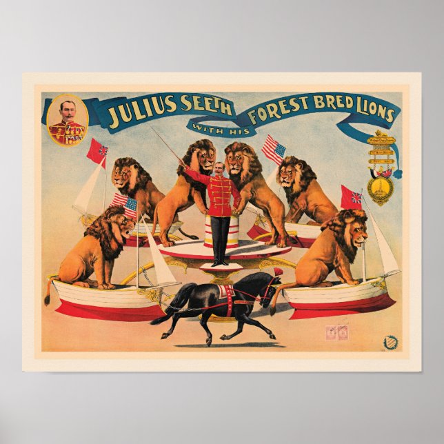 Circus Lions, vintage illustration, Poster (Vorne)