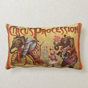Circus Lumbar Pillow Lendenkissen