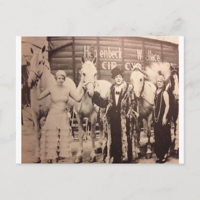 Circus Performances und White Horses Postkarte (Vorderseite)