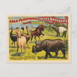 Circus Poster für Adam Forepaugh & Sells Brothers Postkarte