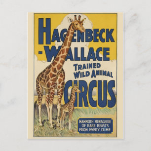 Circus Poster Postkarte