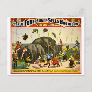 Circus Poster Postkarte