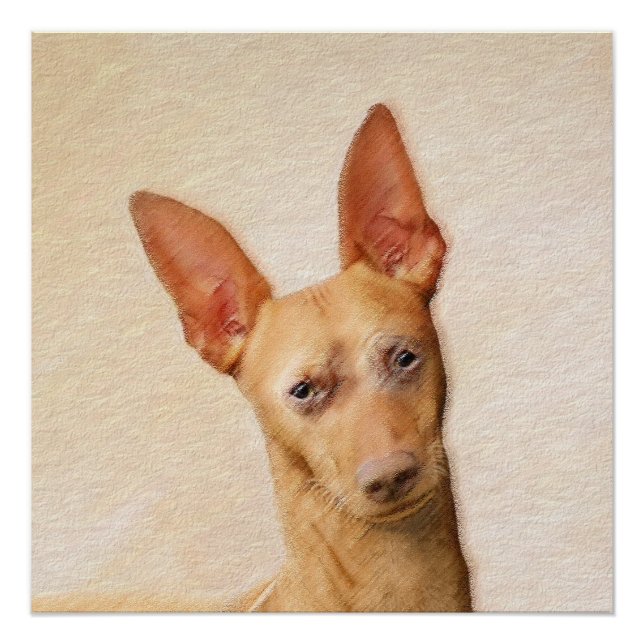 Cirneco dell’Etna Malerei - Niedliche Original Hun Poster (Vorderseite)