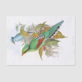 Cissa Venatoria Decoupage Seidenpapier