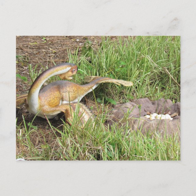 Citipati - Dinosaur - Lernkarte Postkarte (Vorderseite)