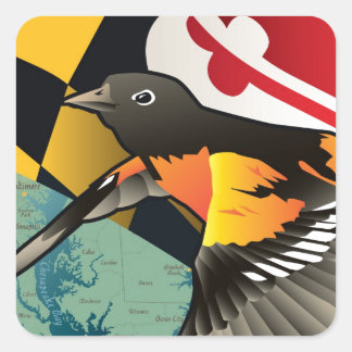Citizen Oriole, Marylands Staat Bird Quadratischer Aufkleber