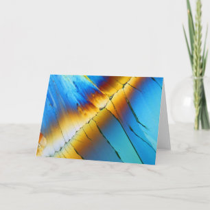 Citric acid under the mikroskop karte